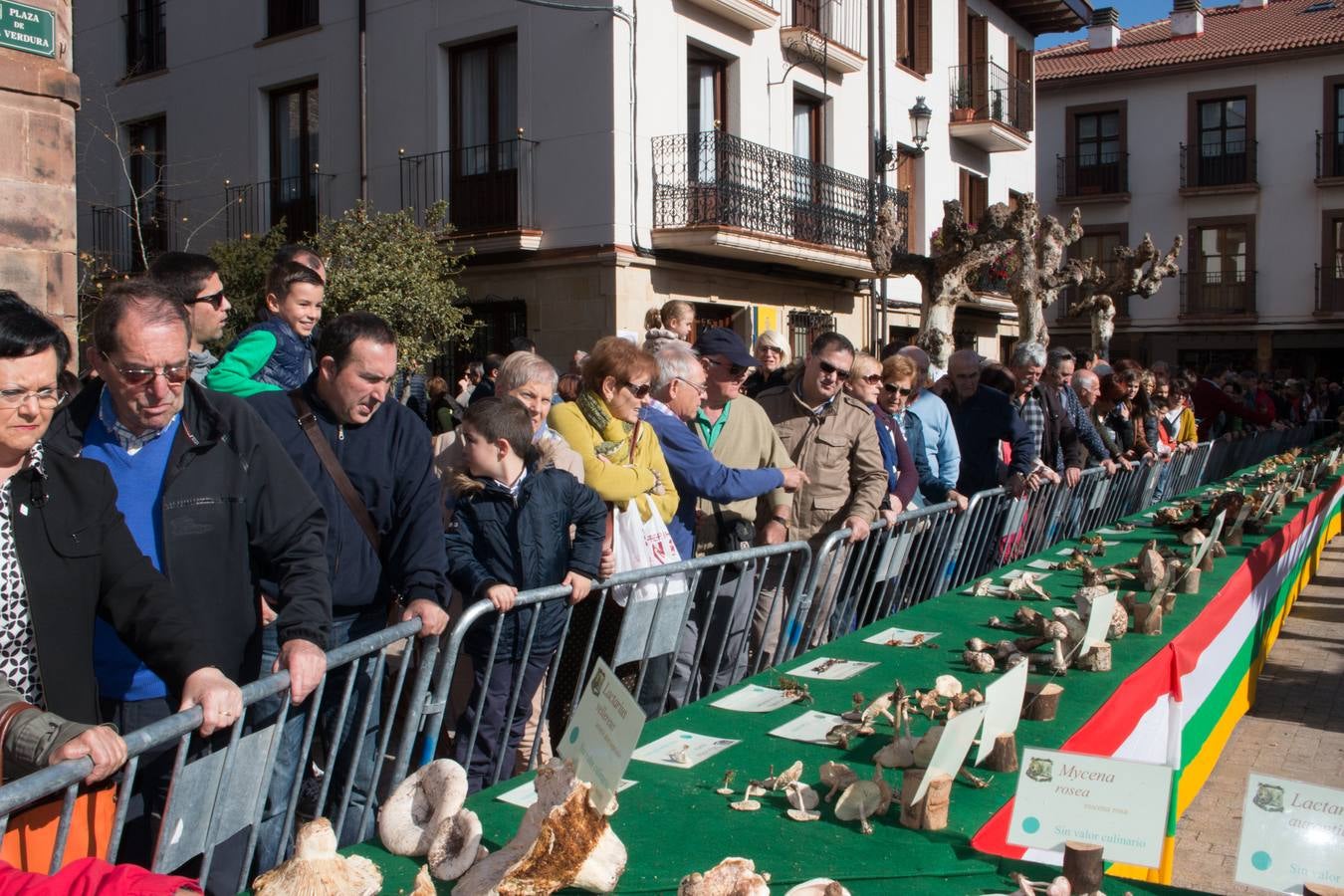 Jornadas micológicas en Ezcaray