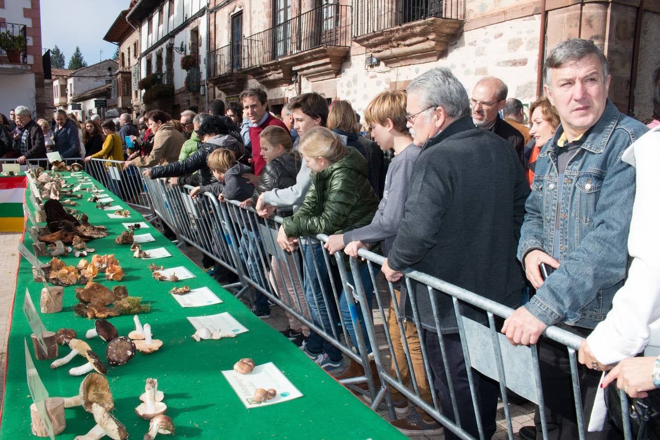 Jornadas micológicas en Ezcaray