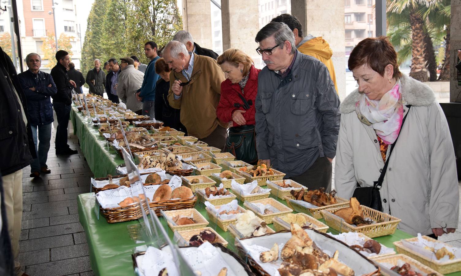 XIV Jornadas Micológicas de Otoño en Logroño