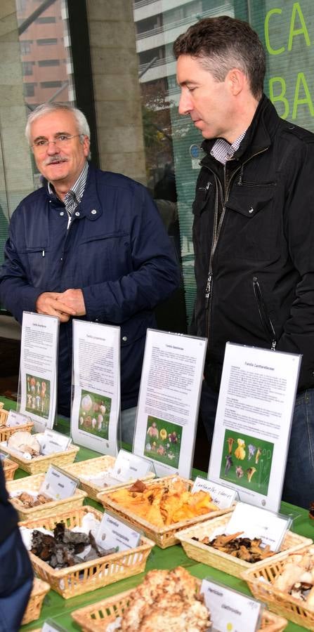 XIV Jornadas Micológicas de Otoño en Logroño