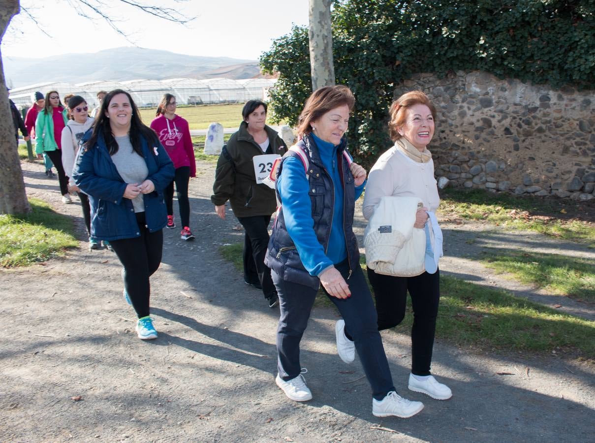 Unas 700 personas participan en la caminata benéfica &#039;de la esperanza&#039; en Santo Domingo