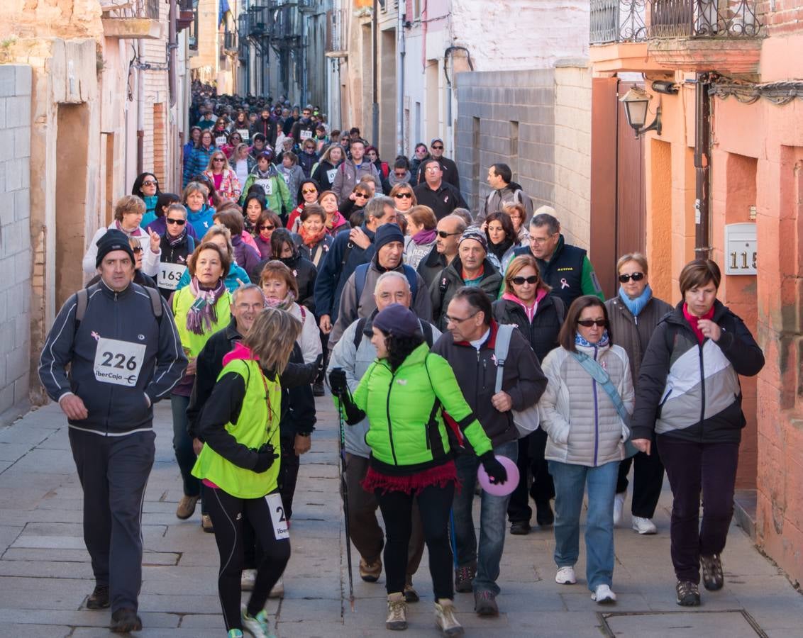 Unas 700 personas participan en la caminata benéfica &#039;de la esperanza&#039; en Santo Domingo