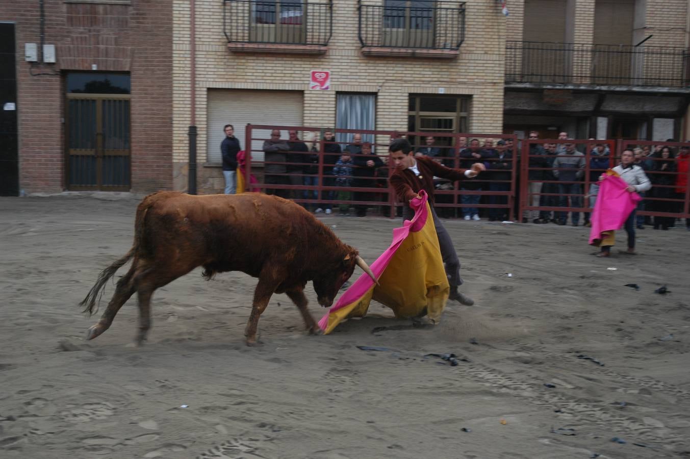 Vaquillas en Rincón de Olivedo