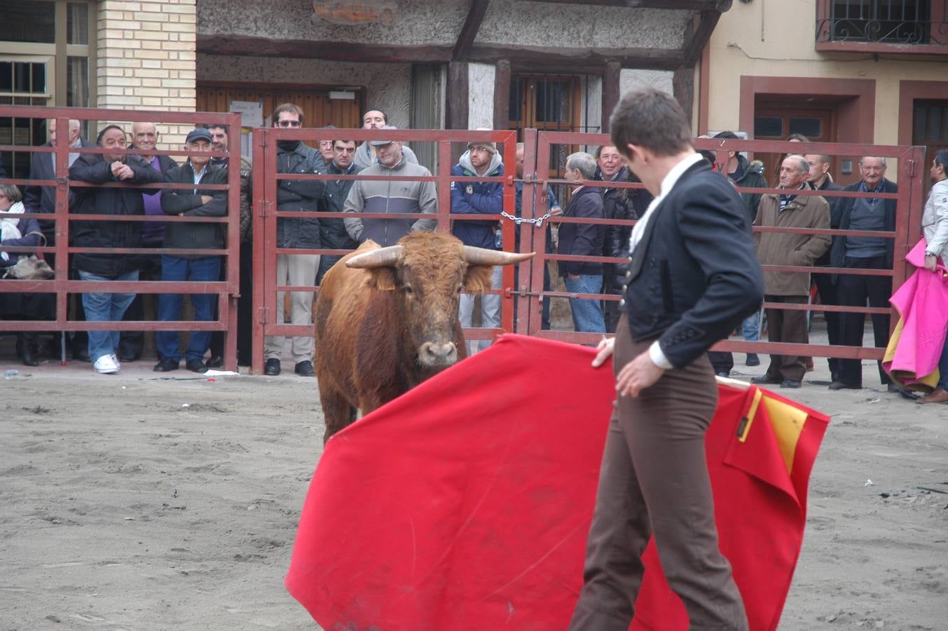 Vaquillas en Rincón de Olivedo