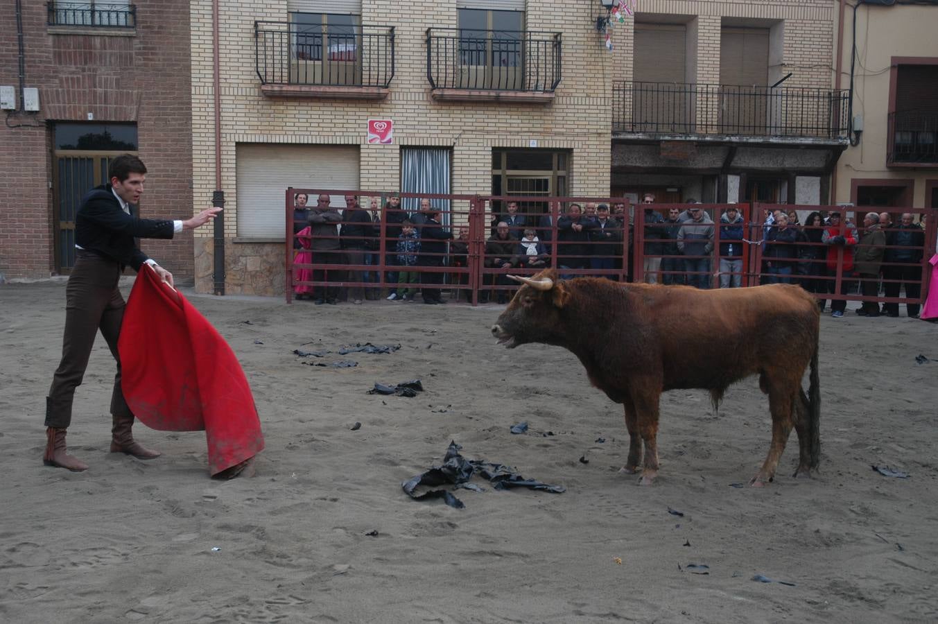 Vaquillas en Rincón de Olivedo