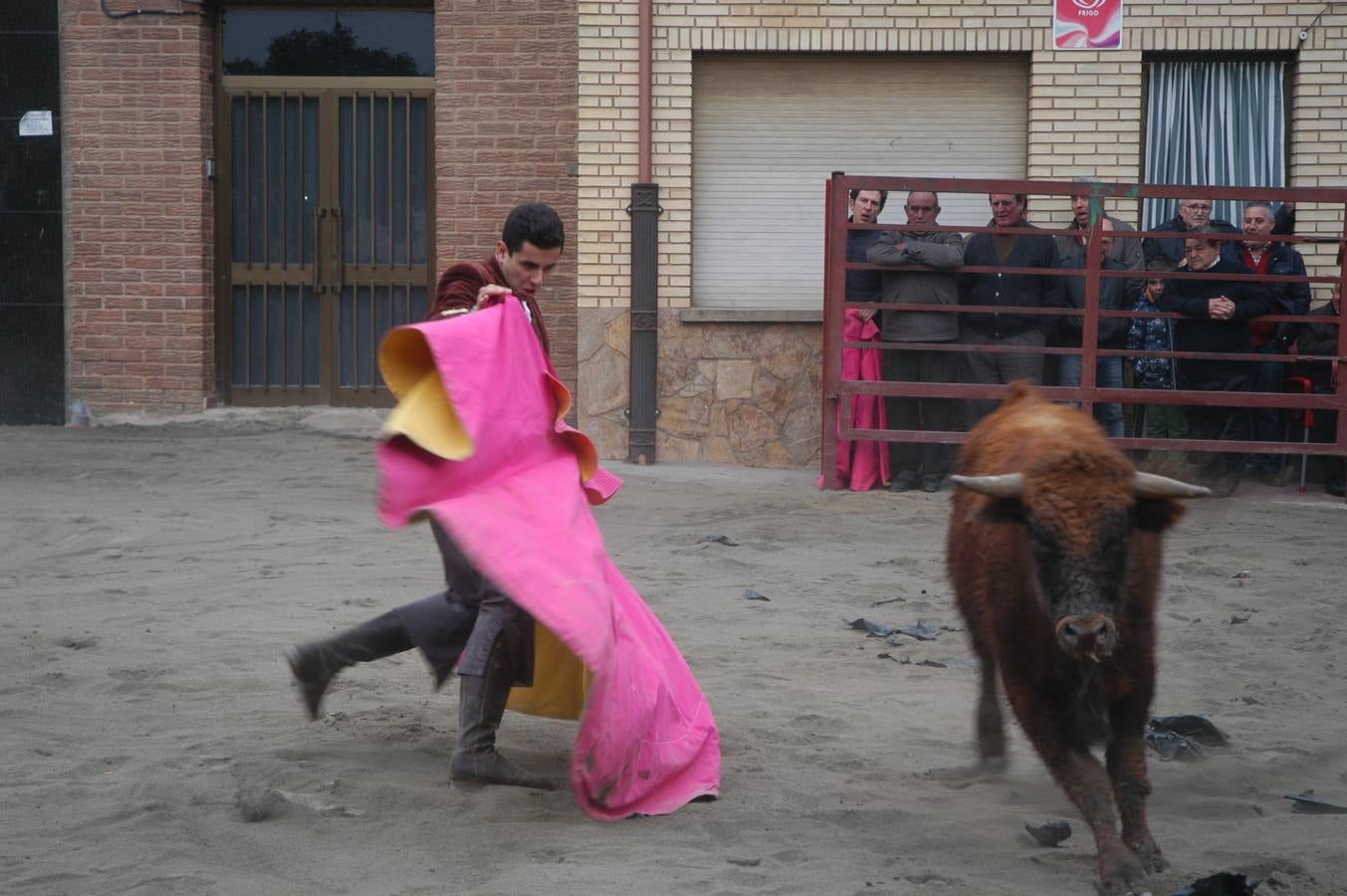 Vaquillas en Rincón de Olivedo