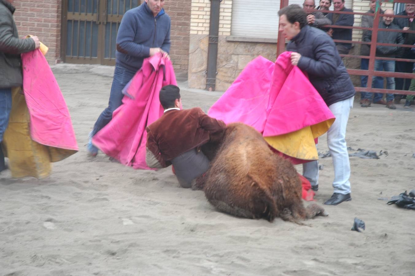 Bolsín taurino en Rincón de Olivedo