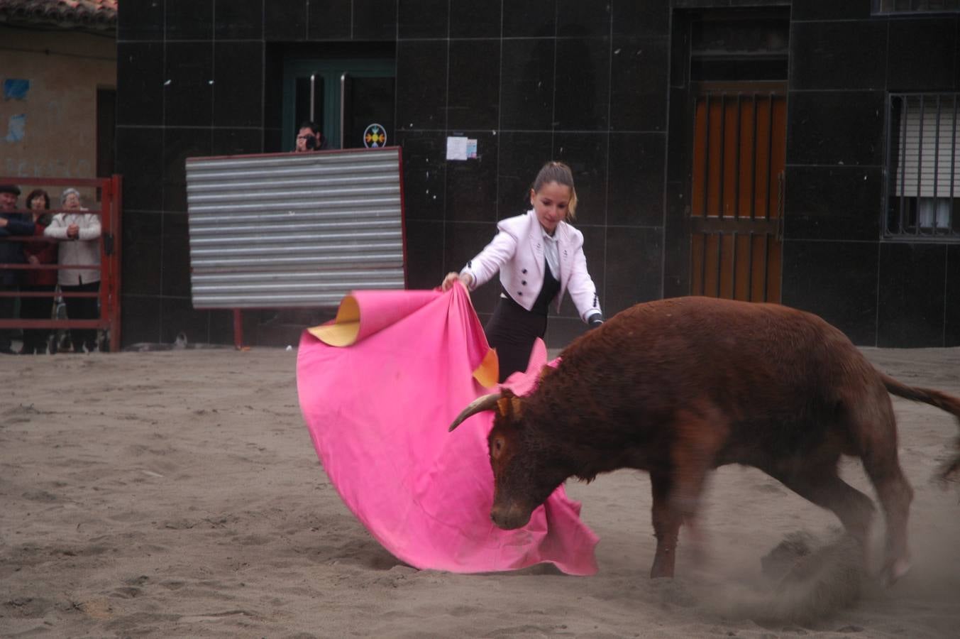 Bolsín taurino en Rincón de Olivedo