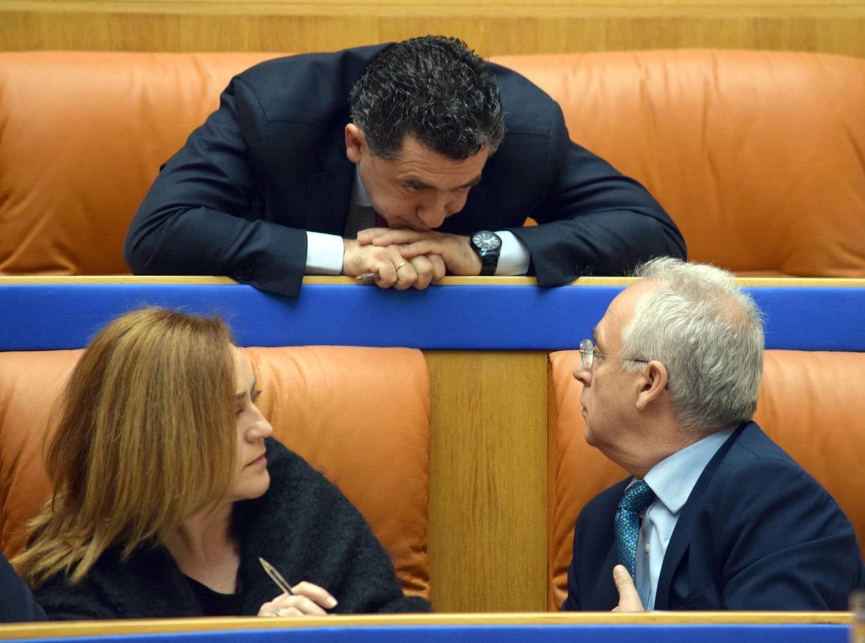 Gestos y manos alzadas (o no) en el Parlamento riojano