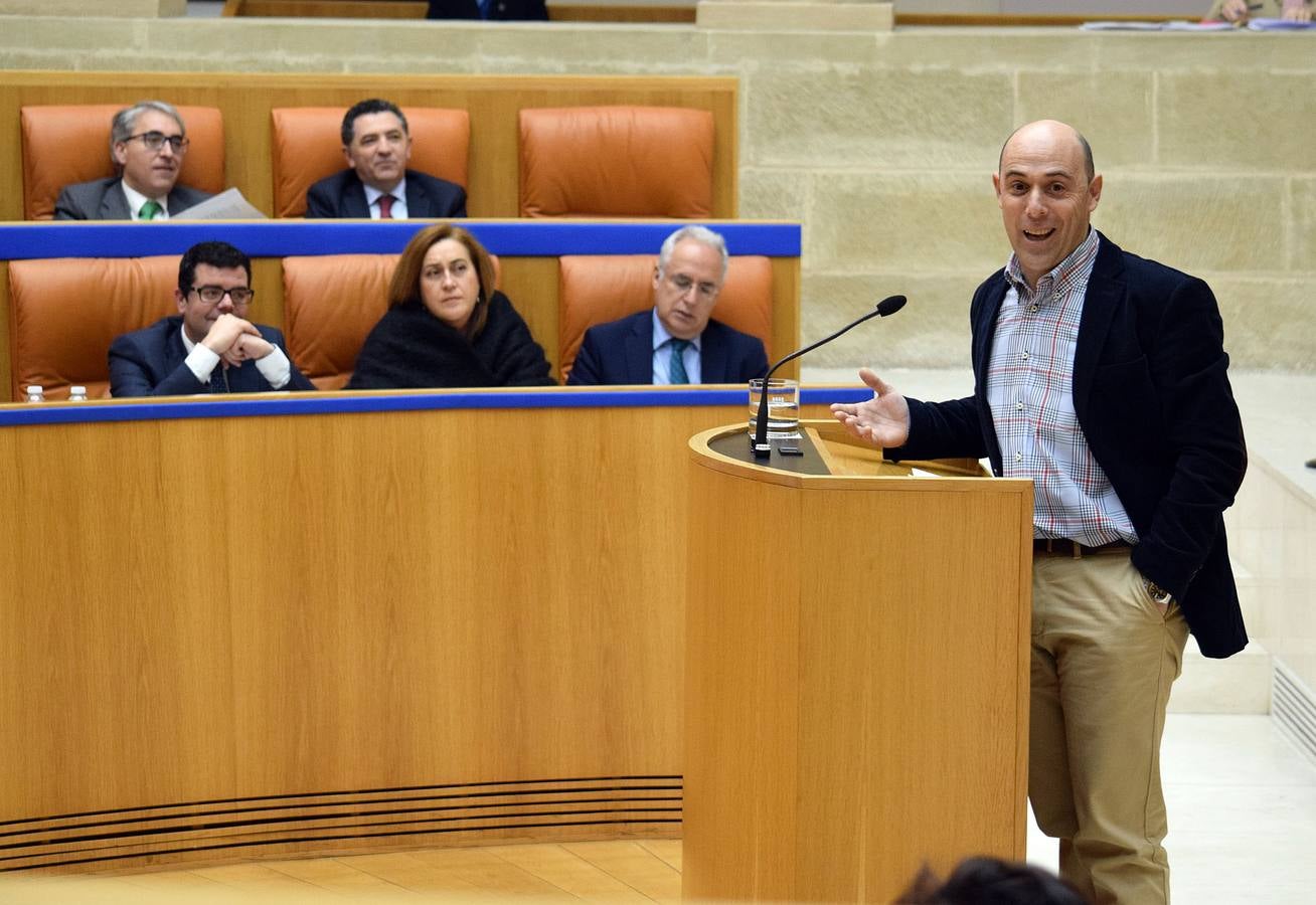 Gestos y manos alzadas (o no) en el Parlamento riojano