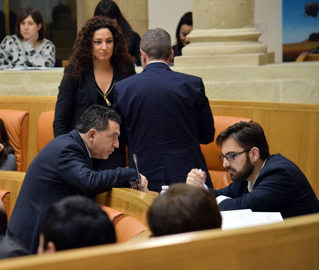 Gestos y manos alzadas (o no) en el Parlamento riojano