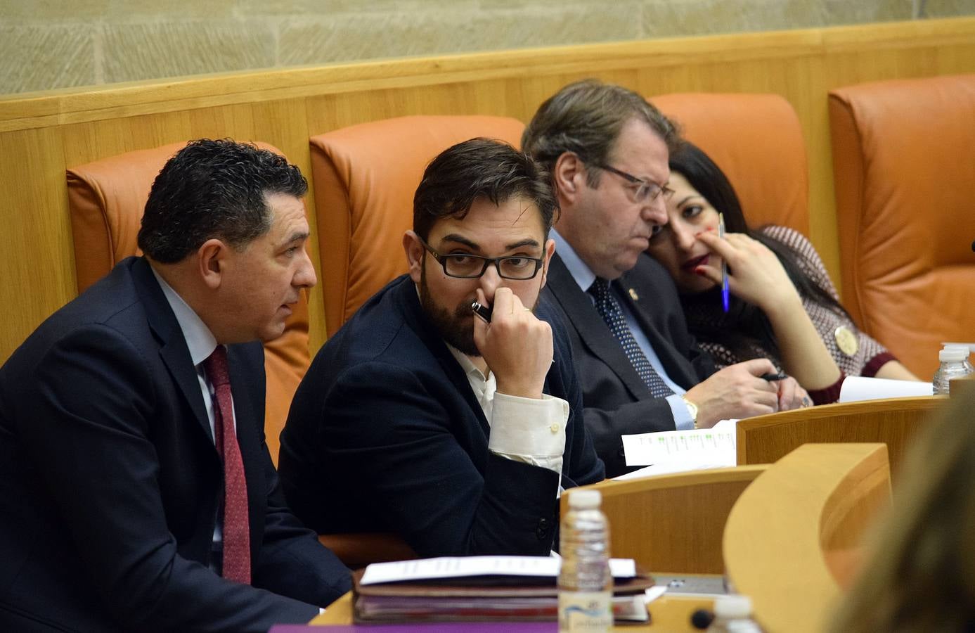 Gestos y manos alzadas (o no) en el Parlamento riojano