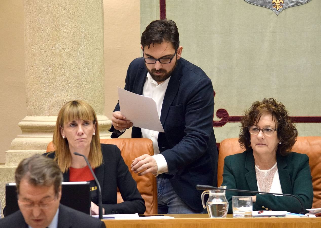 Gestos y manos alzadas (o no) en el Parlamento riojano