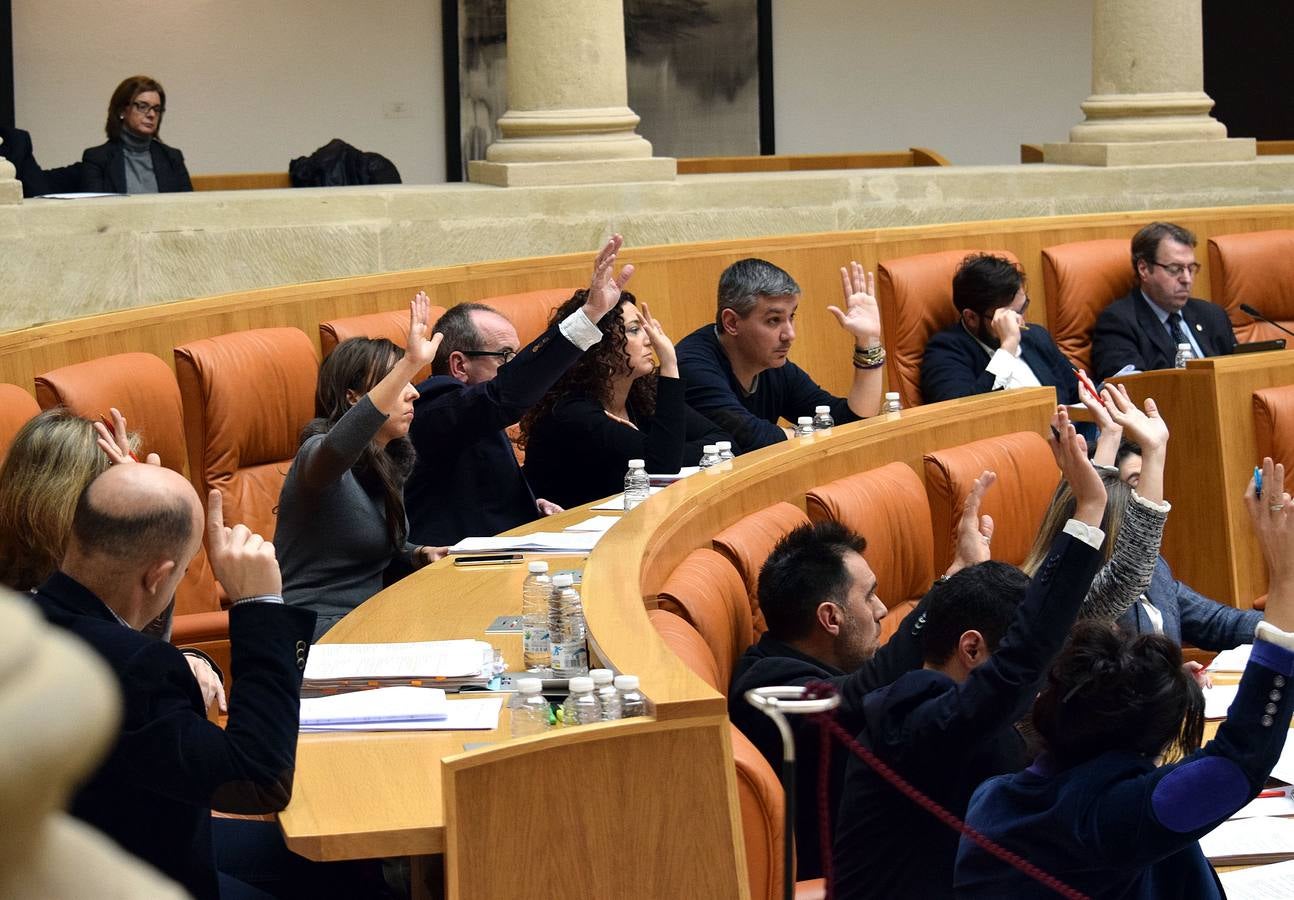 Gestos y manos alzadas (o no) en el Parlamento riojano