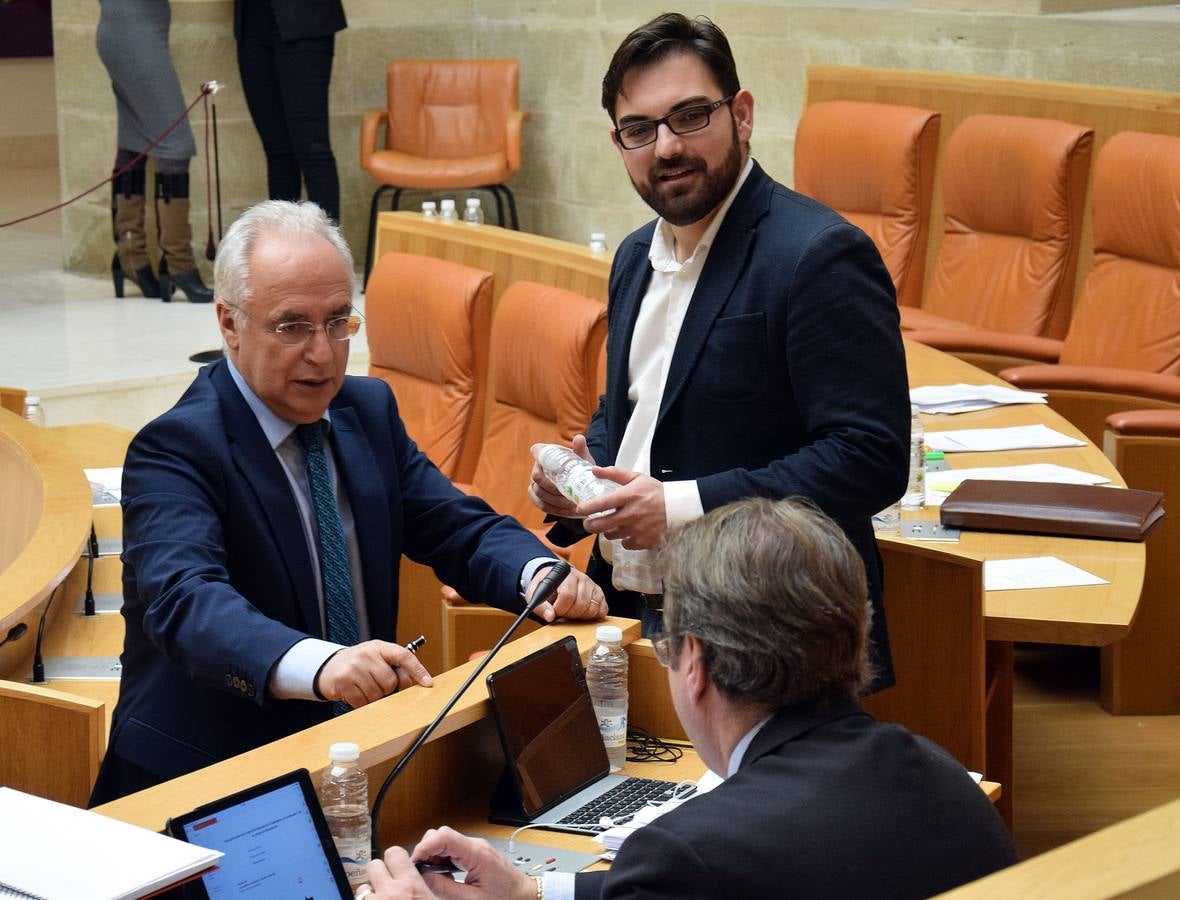 Gestos y manos alzadas (o no) en el Parlamento riojano