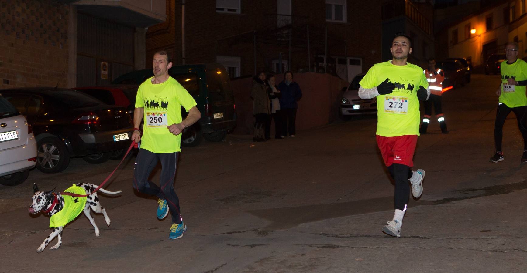 San Silvestre en Villamediana