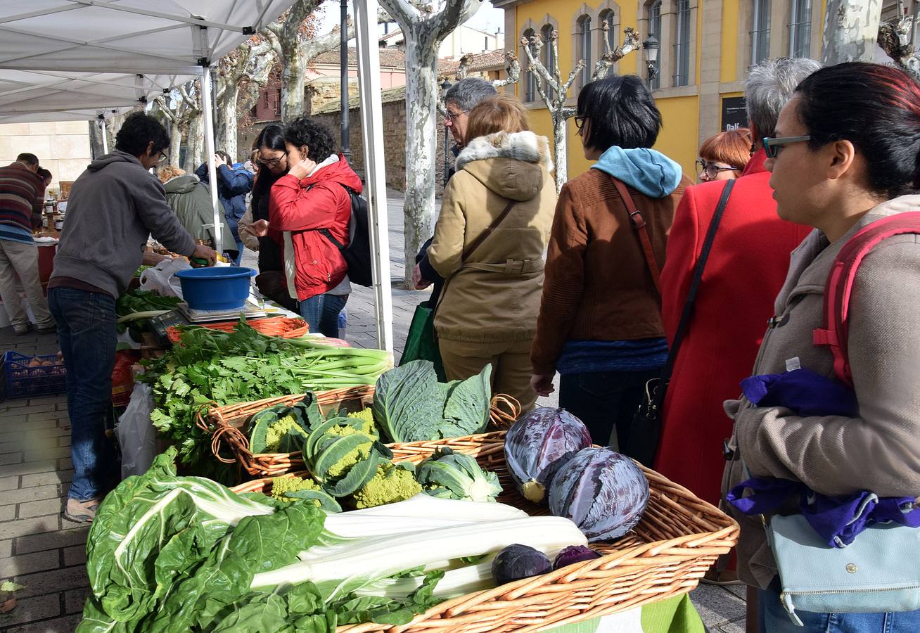 Muestra agroecológica en Portales