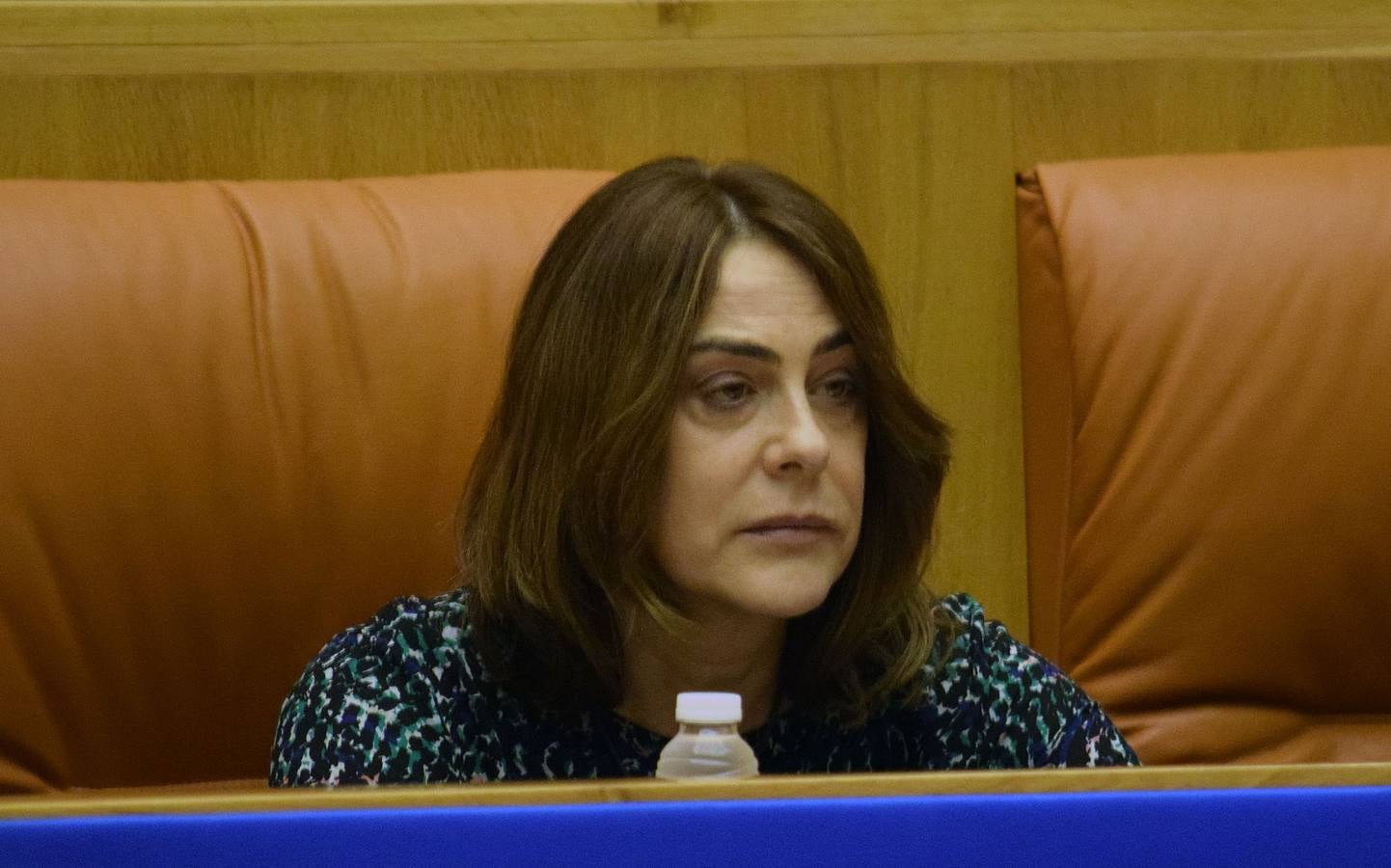 Los gestos de la sesión en el Parlamento de La Rioja