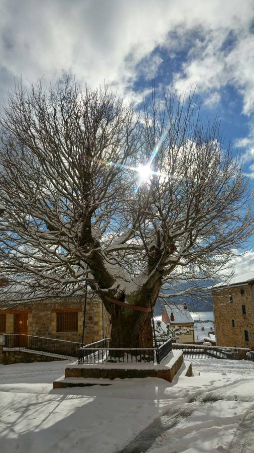 El rasillo, en blanco