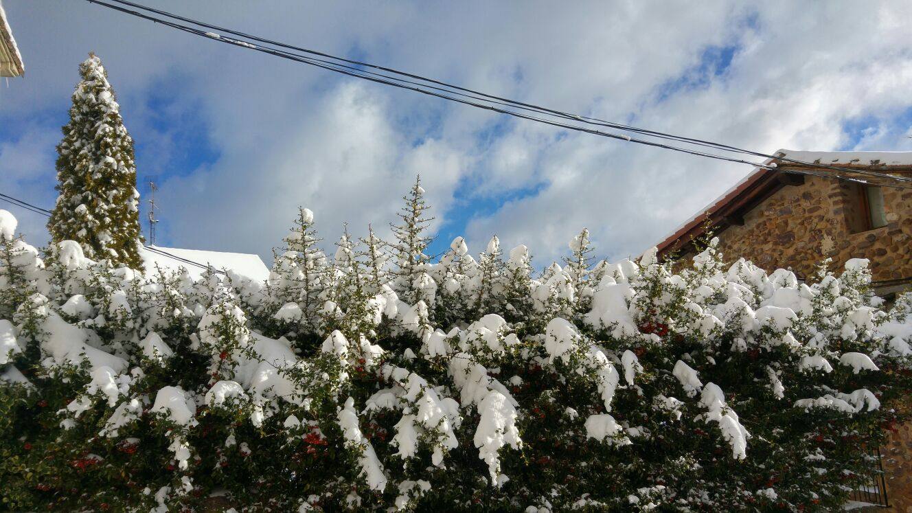 El rasillo, en blanco