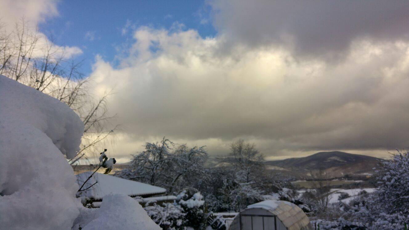 El rasillo, en blanco