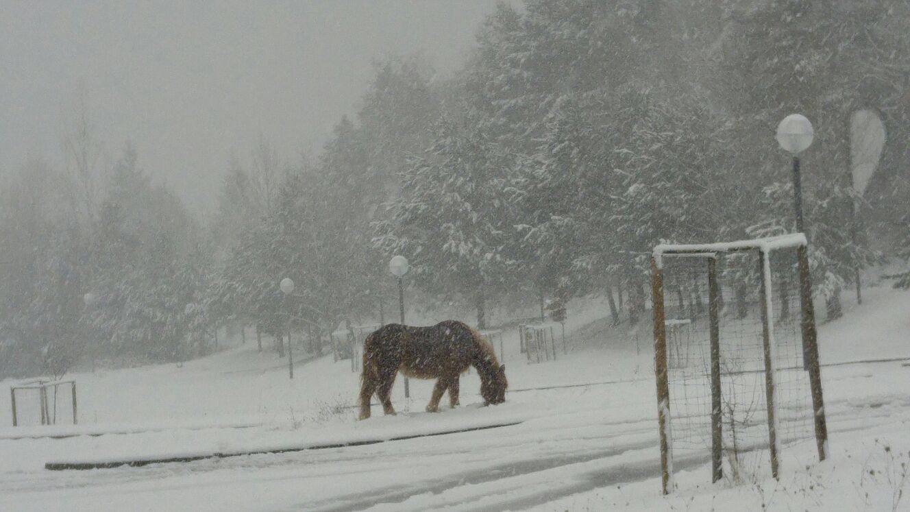 El rasillo, en blanco