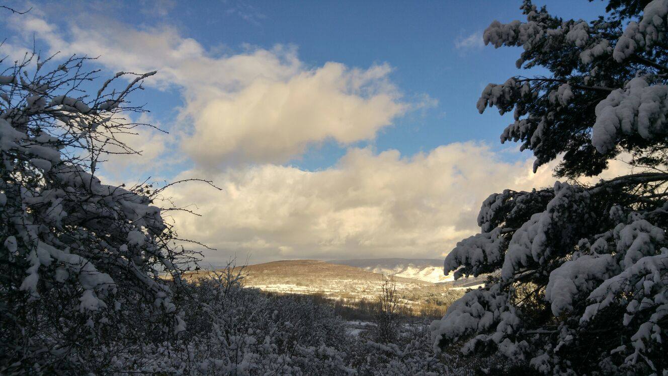 El rasillo, en blanco