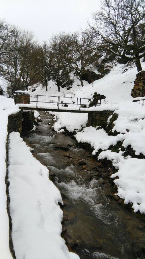 Viniegra de Arriba. 