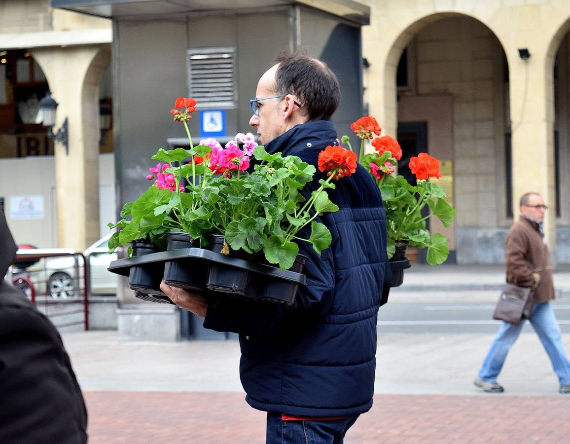 Florece el Espolón