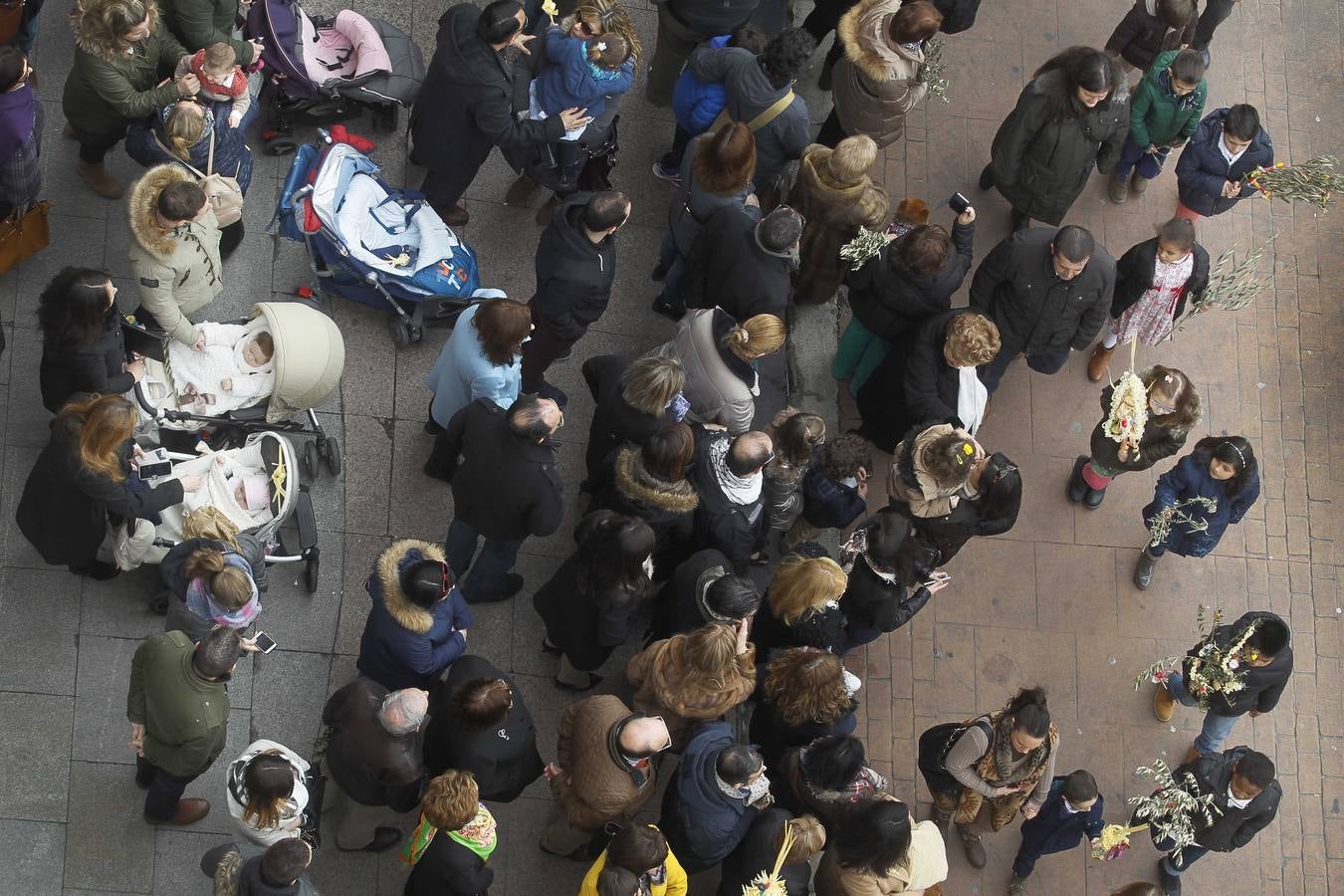 La borriquilla recorre Logroño