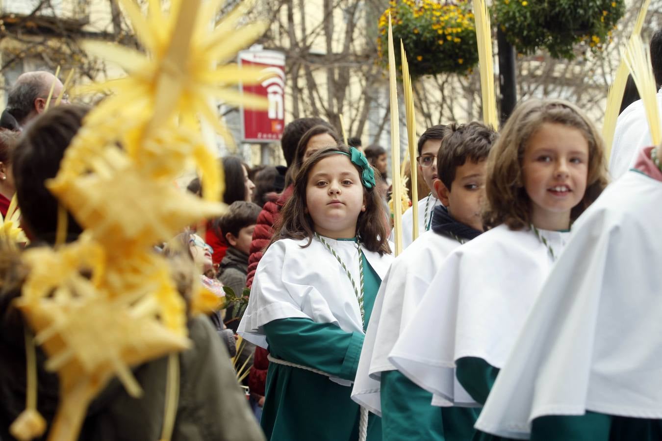 La borriquilla recorre Logroño