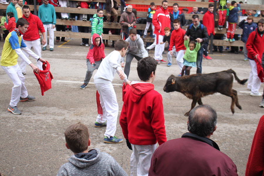 Arnedo despide sus fiestas