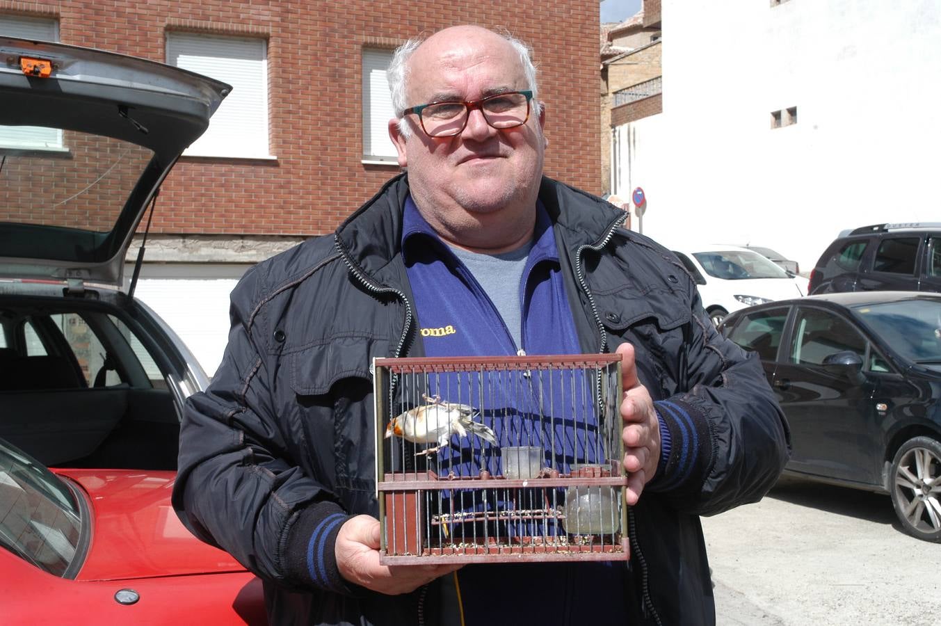 Concurso de canto de aves en Cervera