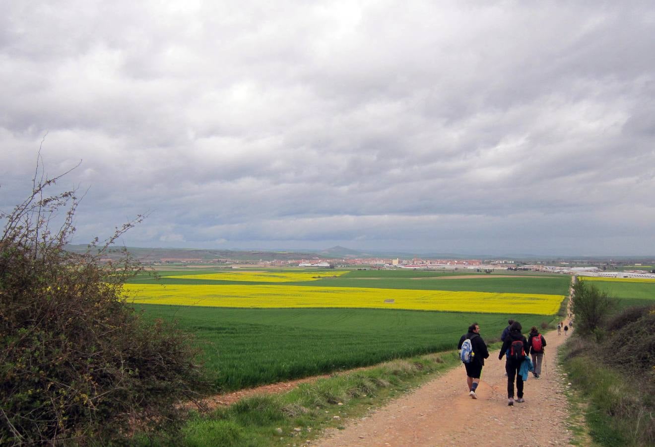 Experiencia peregrina en La Rioja Alta