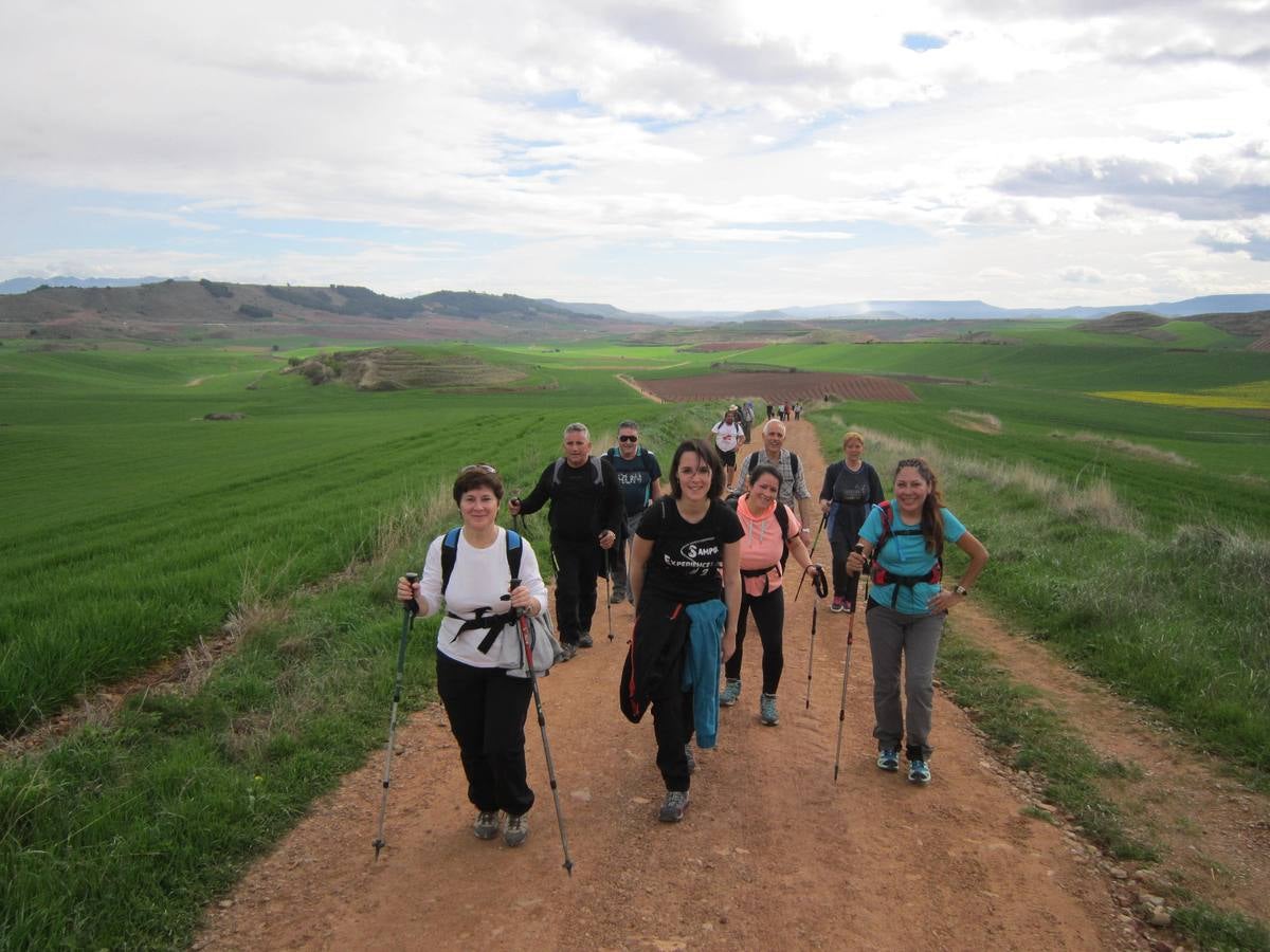 Experiencia peregrina en La Rioja Alta