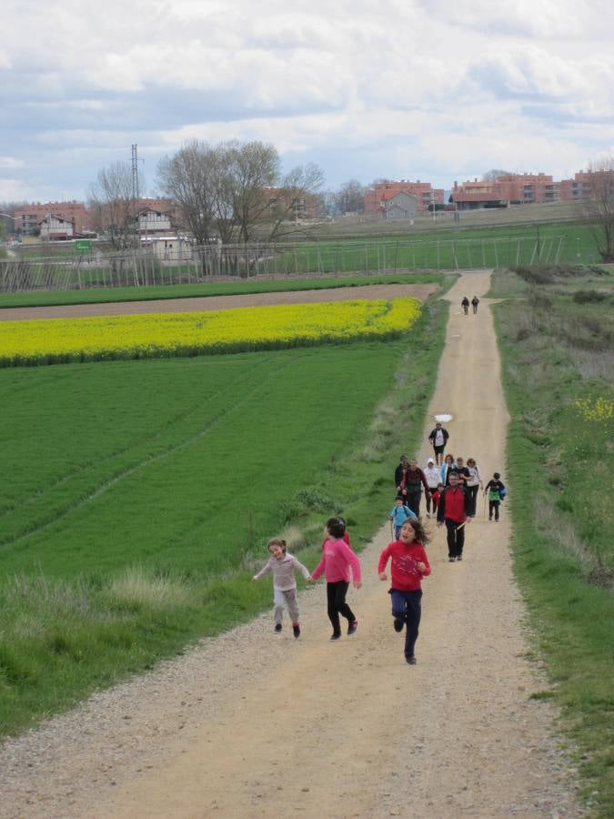 Experiencia peregrina en La Rioja Alta