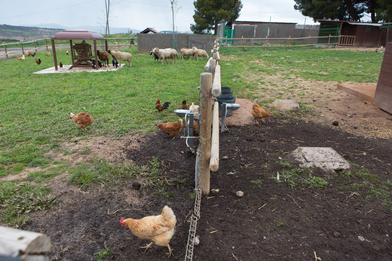 La granja de la Grajera  reabre sus puertas