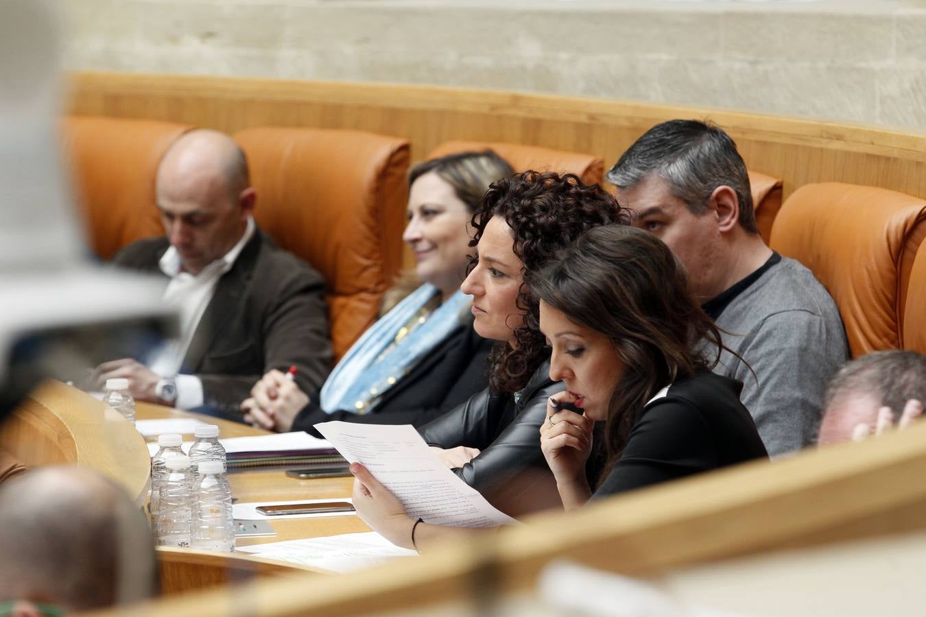 Una intensa sesión en el Parlamento riojano