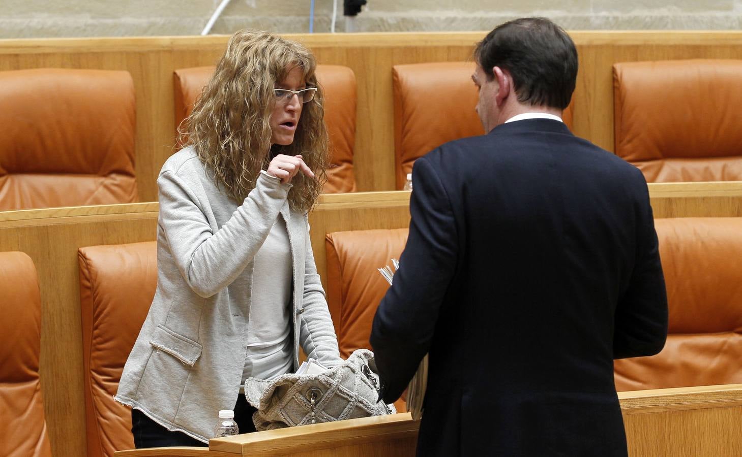 Una intensa sesión en el Parlamento riojano