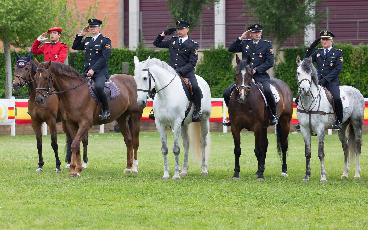 Campeonato Nacional Militar