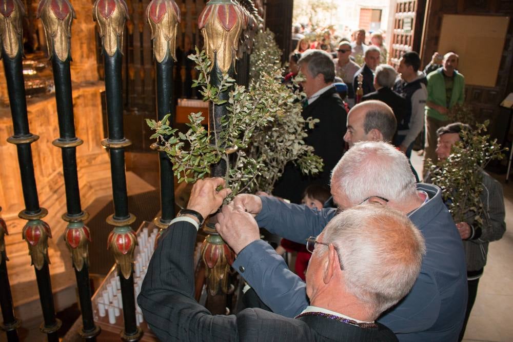 Primer día de fiestas en Santo Domingo: cohete, tradiciones y mucha diversión