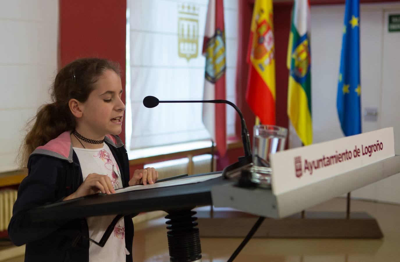 El Día Internacional de la Familia en el Ayuntamiento de Logroño