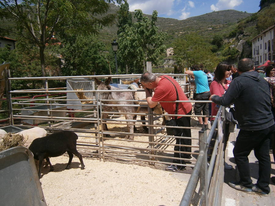 Feria del ganado en Soto en Cameros