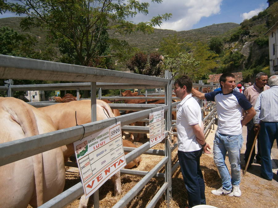 Feria del ganado en Soto en Cameros