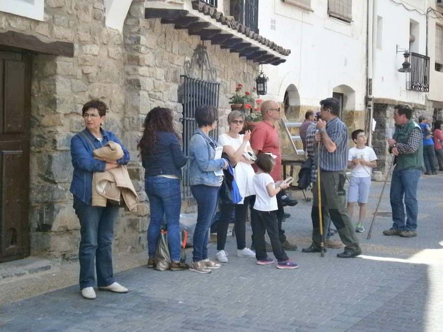 Feria del ganado en Soto en Cameros