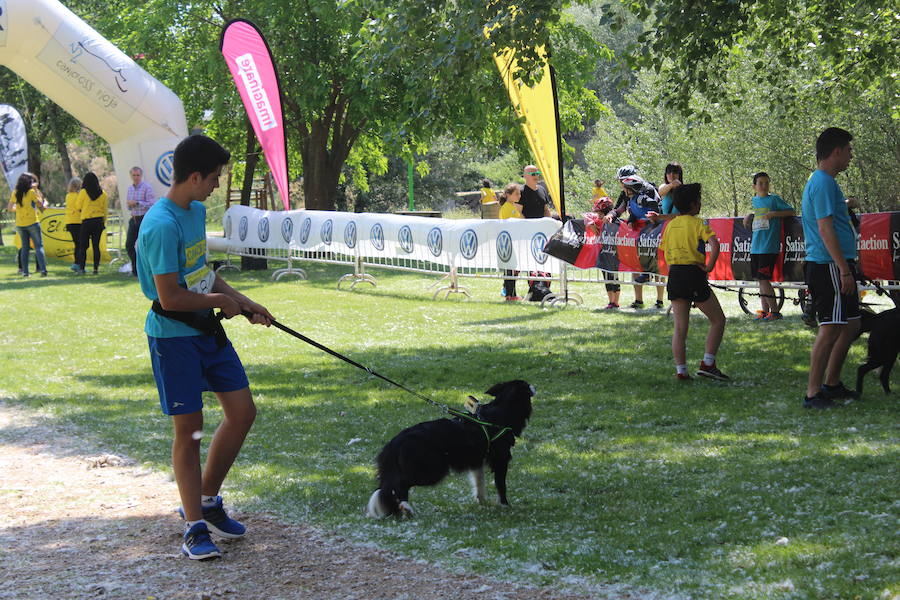 El perro pasea al amo