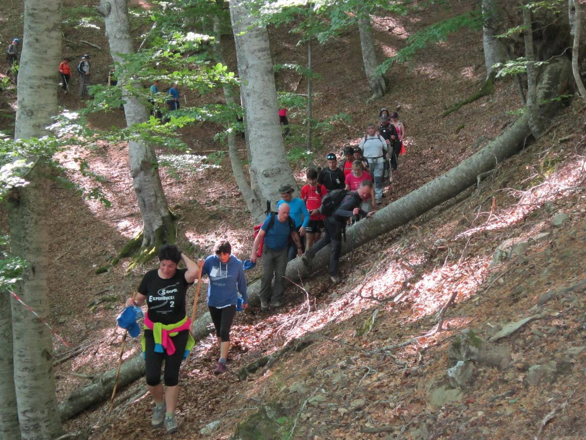 Marcha por los montes de Anguiano