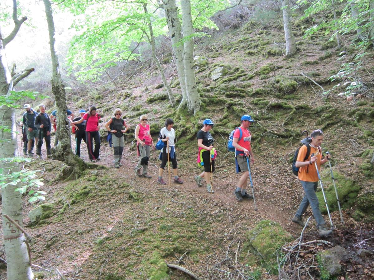 Marcha por los montes de Anguiano