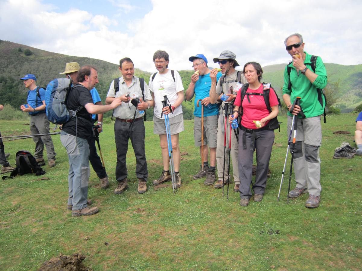 Marcha por los montes de Anguiano