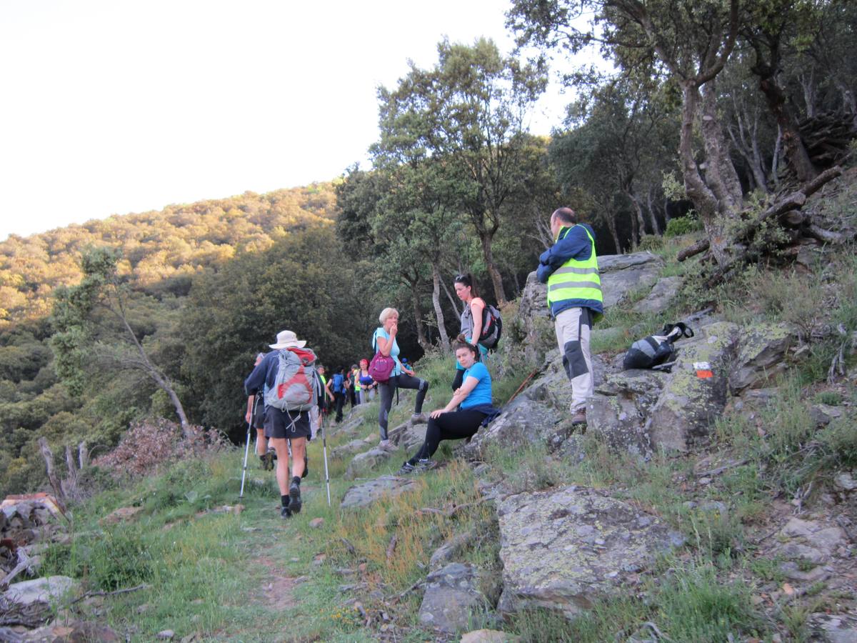 Marcha por los montes de Anguiano